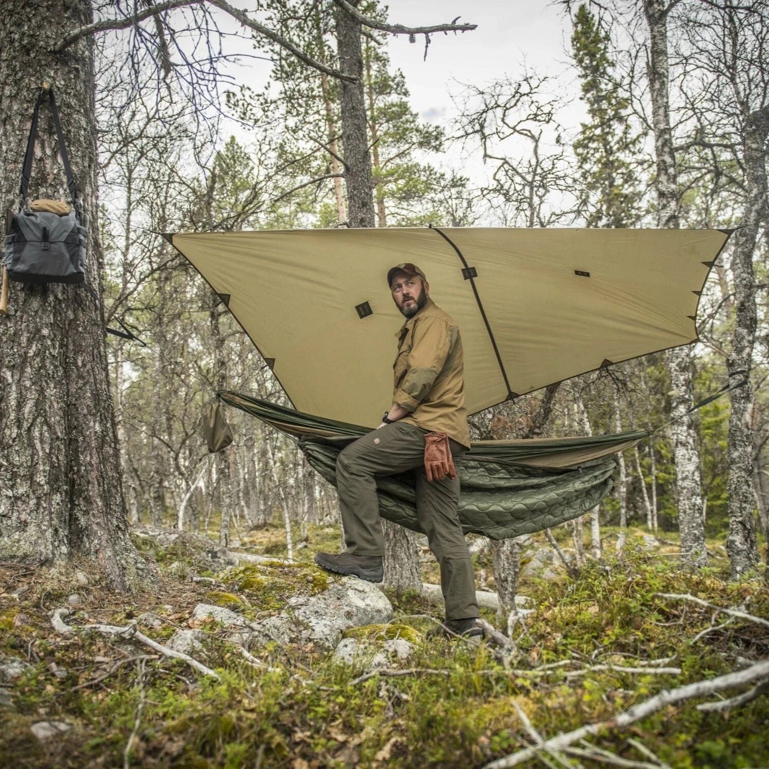 Tarp shelter suspended between trees using guy lines and poles