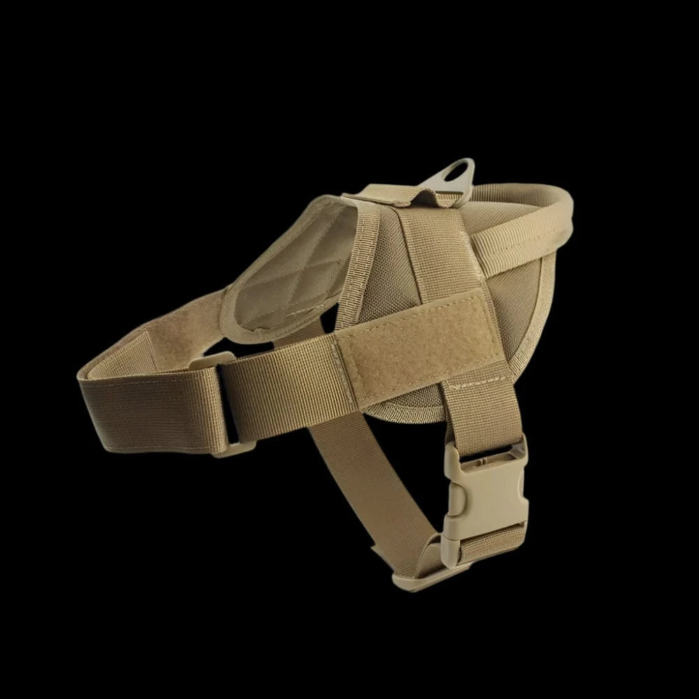 Earthy tone tactical dog harness worn during training